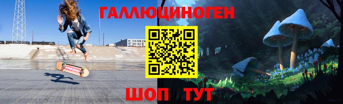 Петропавловск-Камчатский  Галлюциногенные грибы Psilocybe  Вход с VPN 